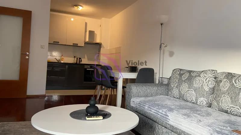 Izdavanje, jednosoban stan, 47m², Stari Aerodrom, Podgorica