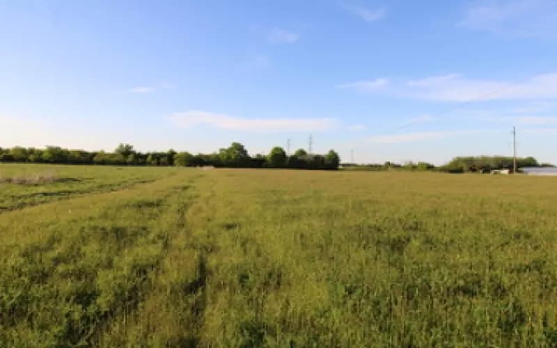 Prodaja, zemljište, 8000m², Danilovgrad