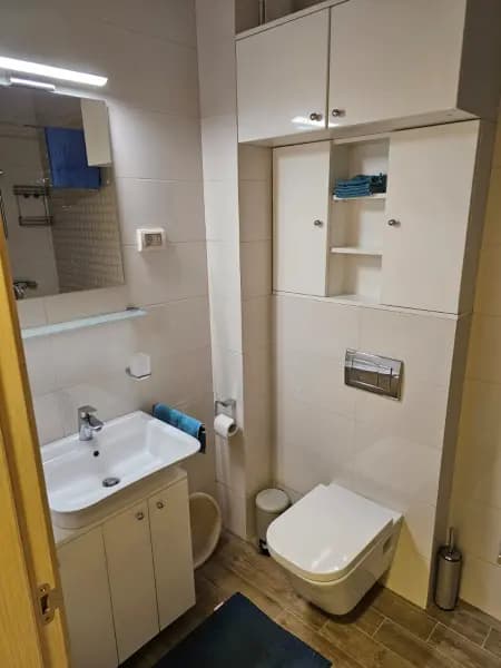 Оренда, однокімнатна квартира, 46м², Сіті Кварт, Подгориця