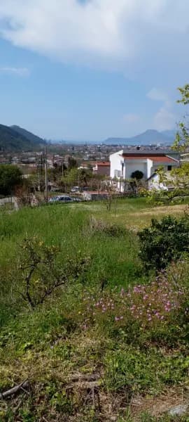 Prodaja, zemljište, 1550m², Zaljevo, Bar