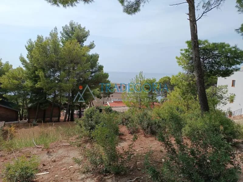 Plot with a sea view, 5-minute walk to the beach in the Green Belt.