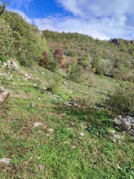 Prodaja, zemljište, 26000m², Cetinje