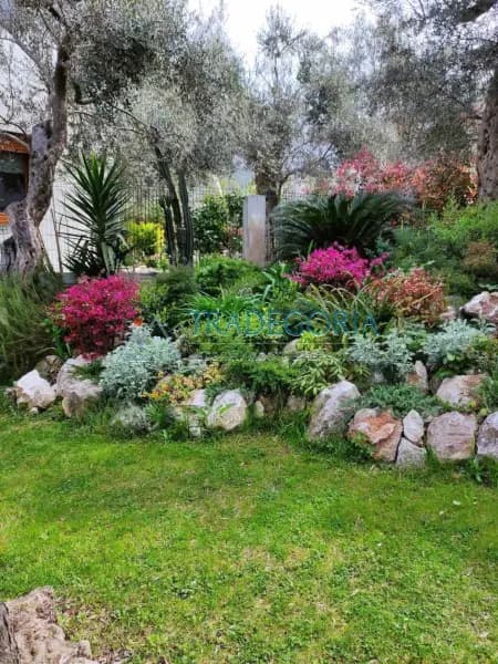 Geräumige dreistöckige Villa mit Garten und Terrassen im Olivenhain, Bar