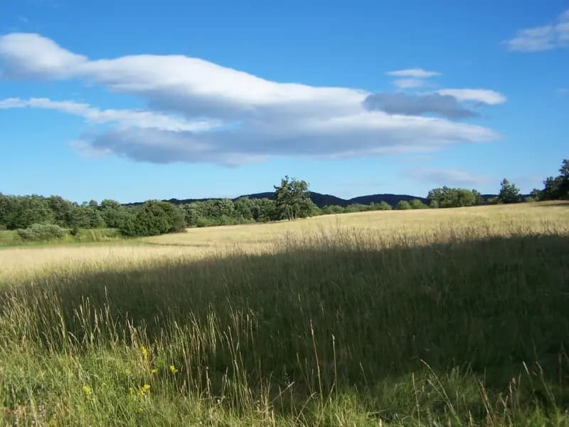 Prodaja, zemljište, 7000m², Danilovgrad