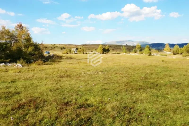91.611m2 (9ha) arazi – Žabljak