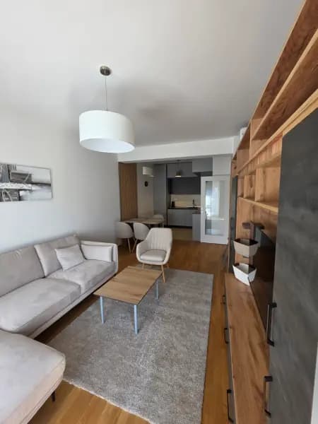 Vermietung, Einzimmerwohnung, 47m², Zabjelo, Podgorica