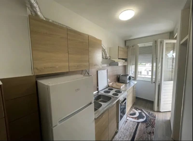 Vermietung, Einzimmerwohnung, 45m², Preko Morače, Podgorica