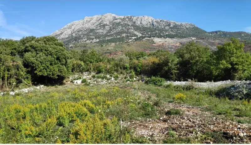 Prodaja, zemljište, 2700m², Dobra Voda, Bar