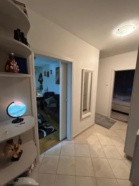 Verkauf, Einzimmerwohnung, 56m², Zabjelo, Podgorica
