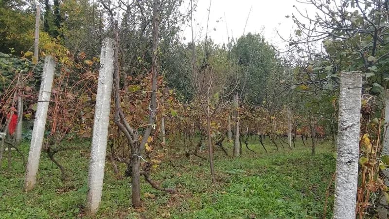 Prodaja, zemljište, 669m², Mokrine, Herceg Novi