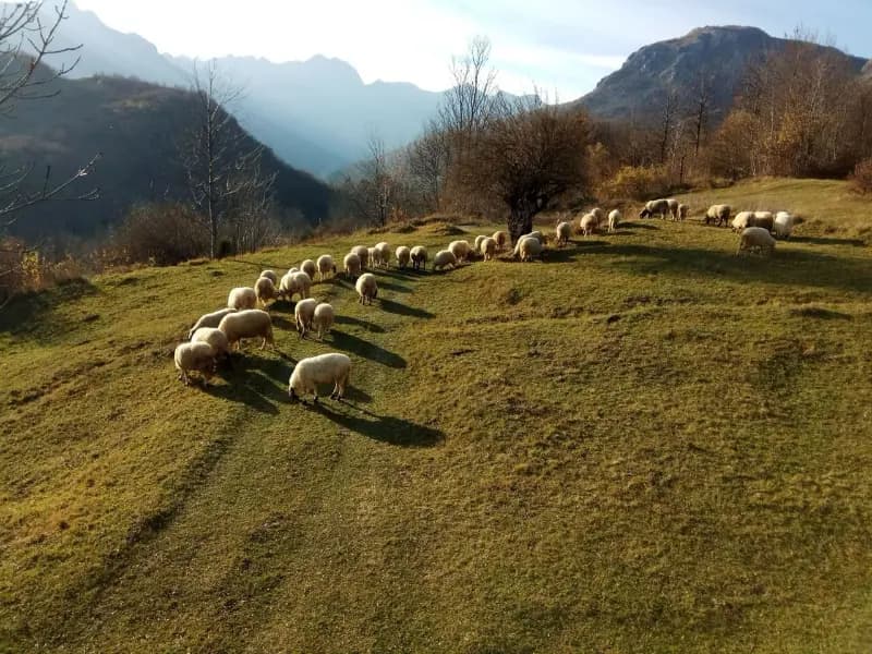 Kolašin'de Arazi — Eko-köy projesi ile 14.474 m2