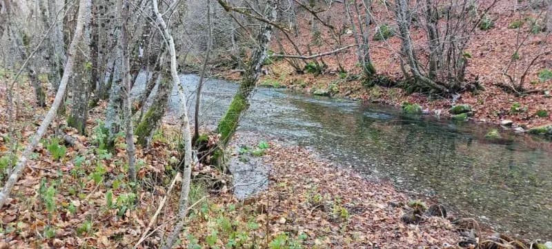Satılık, arazi, 10000m², Kolašin