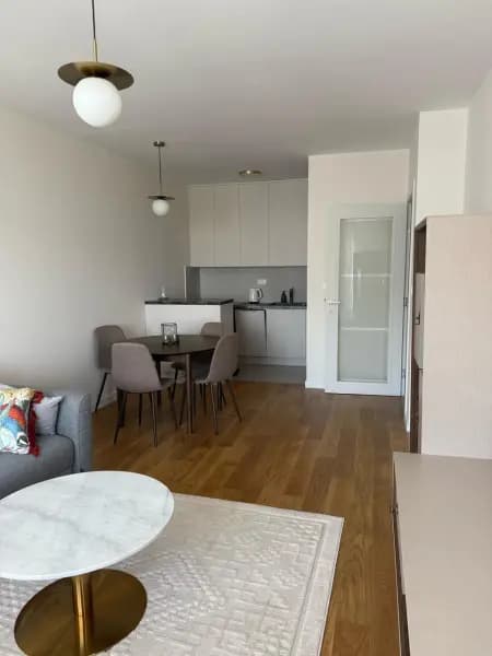 Оренда, однокімнатна квартира, 49м², Central Point, Подгориця