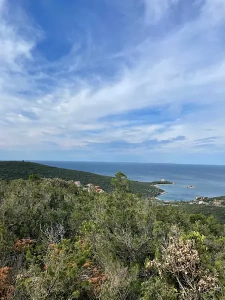 Gradevinski plac od 14.000 m2 - na Luštici - 130 eu/m2