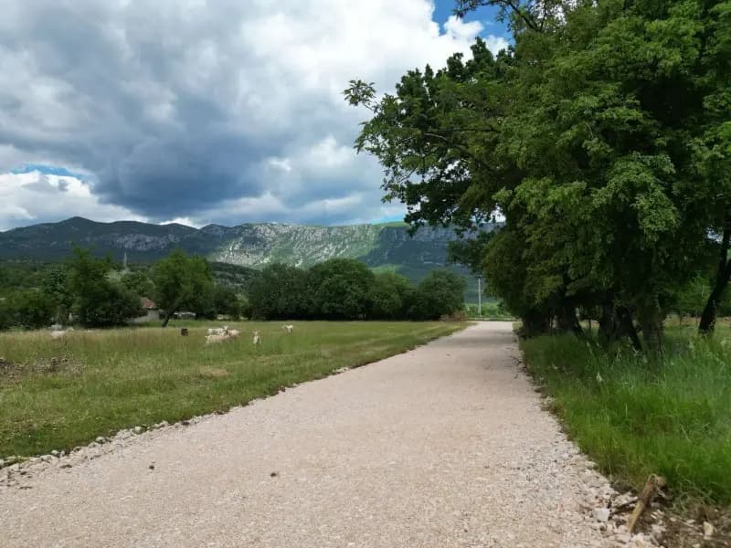 Sale, land, 8000m², Donji Martinići, Podgorica