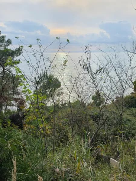 Sale, land, 804m², Bar