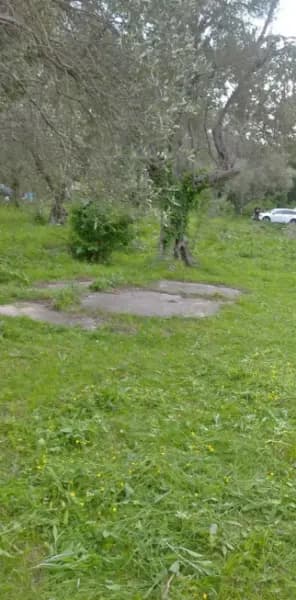 Prodaja, zemljište, 518m², Buljarica, Budva