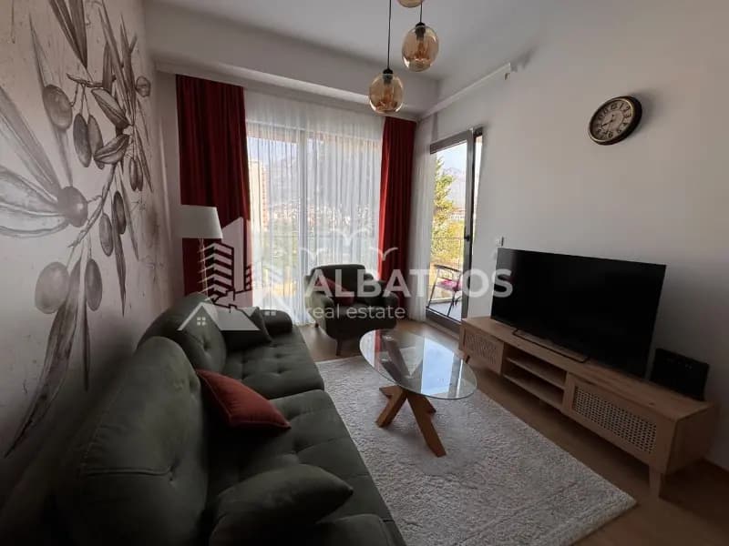 Luxurious one-bedroom apartment in Bar