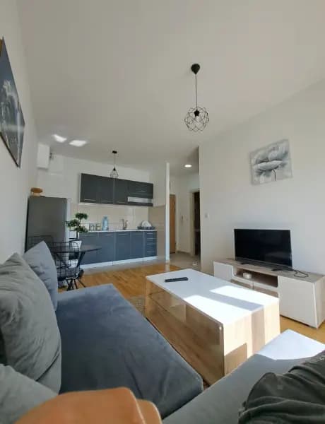 Vermietung, Einzimmerwohnung, 33m², Zabjelo, Podgorica