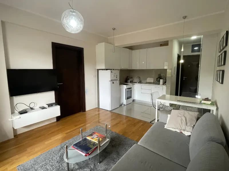 Vermietung, Einzimmerwohnung, 45m², Vezirov Most, Podgorica