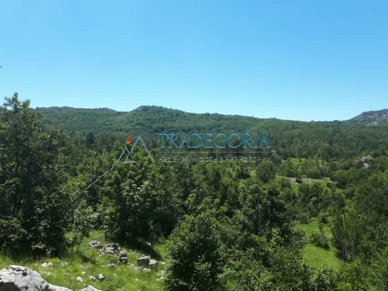 Large plot in Podgorica, Danilovgrad