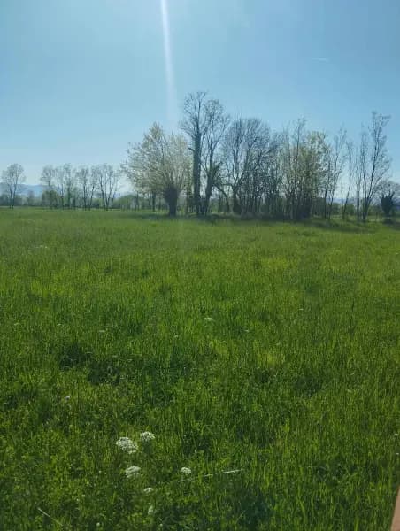 Plot near the village of Mataguz, Zeta Municipality