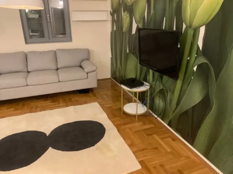 Оренда, однокімнатна квартира, 51м², 1 Травня, Подгориця