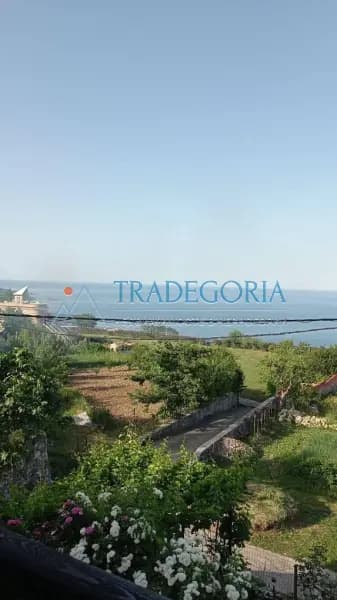 Dobra Voda'daki asırlık zeytinliklerin ortasında, dağ kaynağı suyu ile taş bir ev kompleksi satıyoruz.