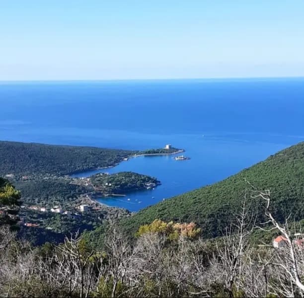 Luštica'da Yatırım Arazisi - 8.000 m2