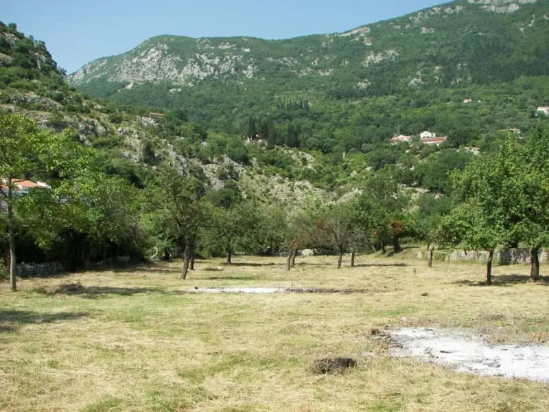 Prodaja, zemljište, 7162m², Risan, Kotor