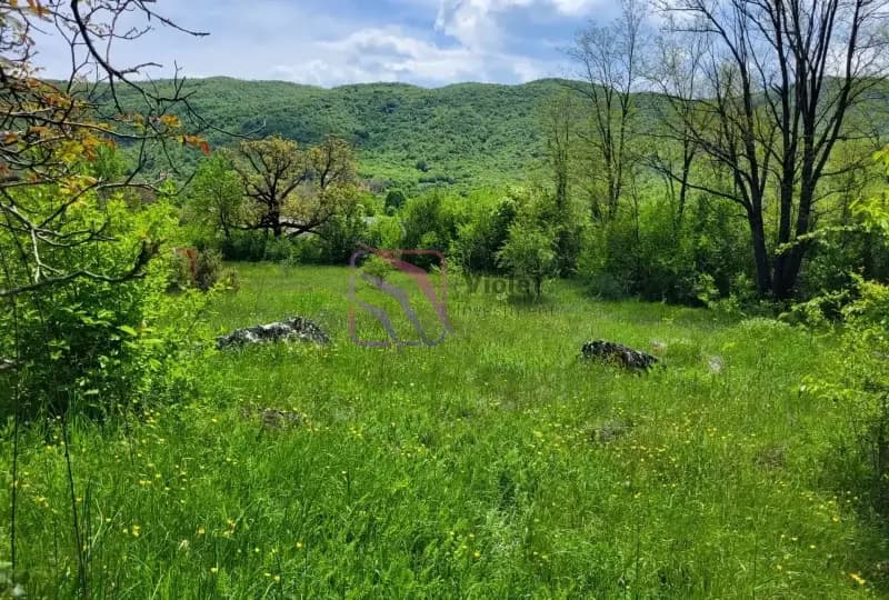 Sale, land, 160,000m², Nikšić