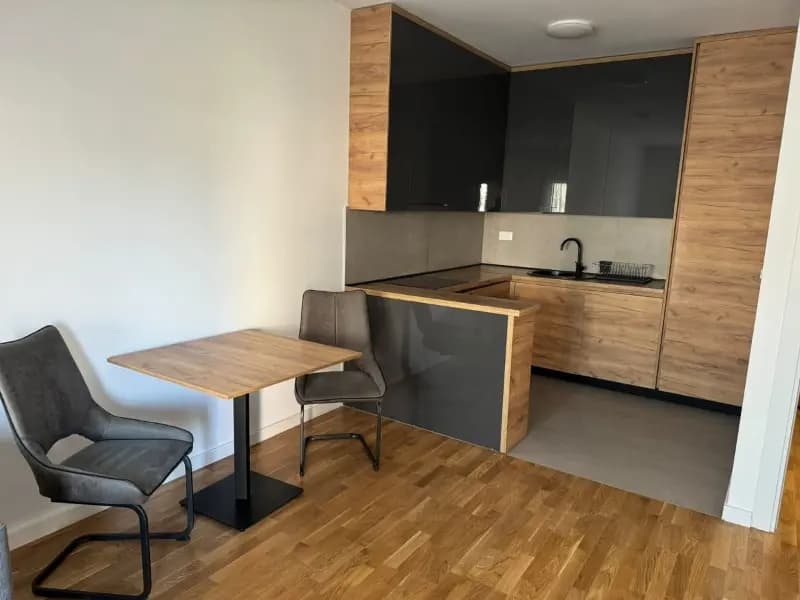Оренда, однокімнатна квартира, 45м², Заб'єло, Подгориця