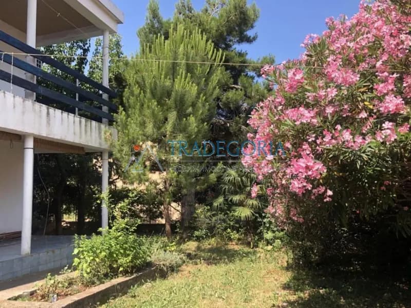 Charming house with a beautiful garden in Dobra Voda