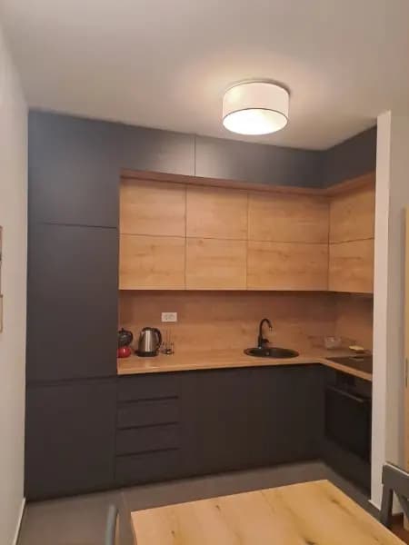 Vermietung, Einzimmerwohnung, 50m², Master Kvart, Podgorica