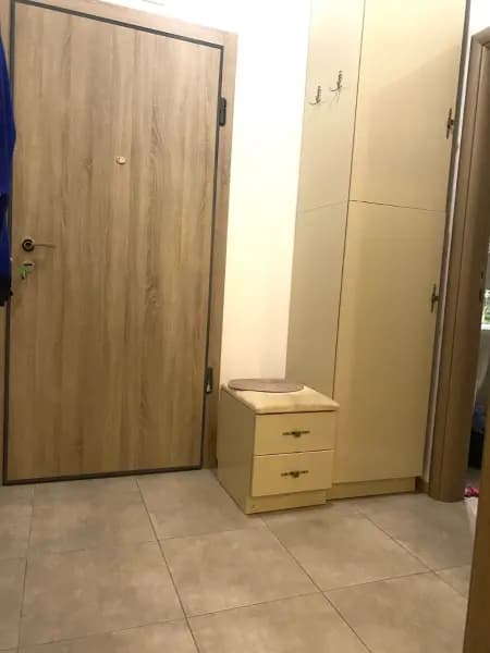Vermietung, Einzimmerwohnung, 45m², Vezirov Most, Podgorica
