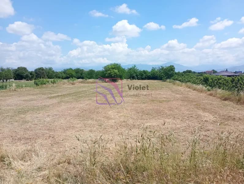 Sale, land, 1850m², Farmaci, Podgorica