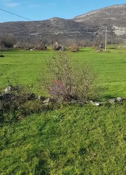 Sale, land, 400,000m², Nikšić