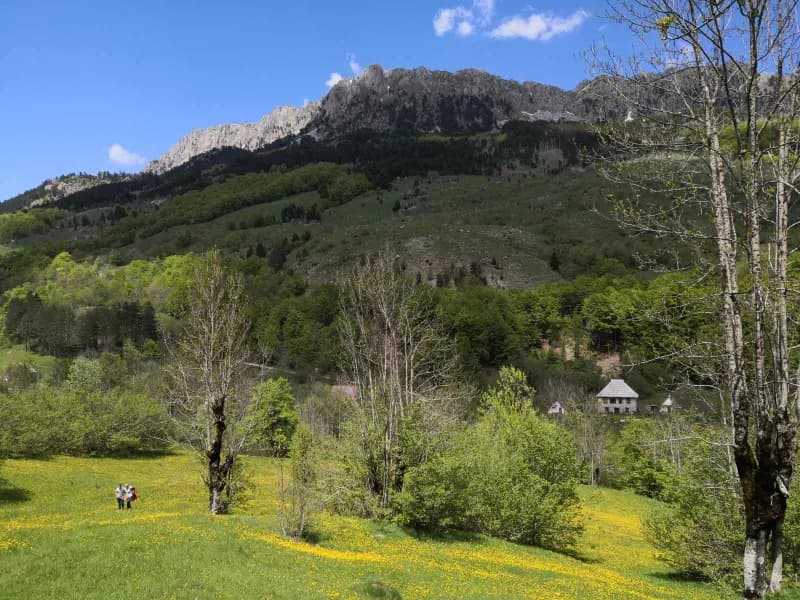 Land with panoramic view in Lipovo, Kolašin - 8.5 hectares