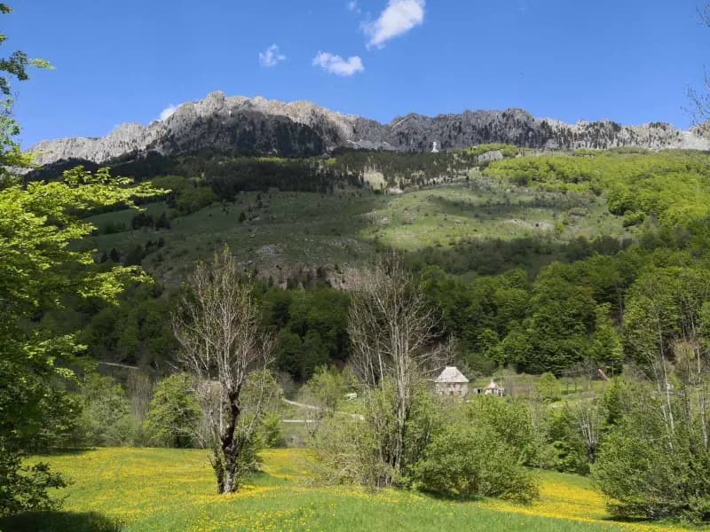 Investment land in Kolašin - 85,000 m² at 3.90 euros/m²