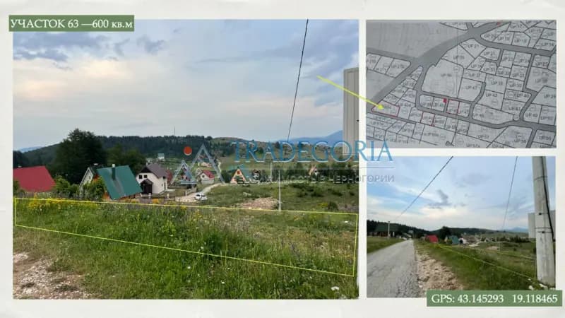 Žabljak'ta arsa