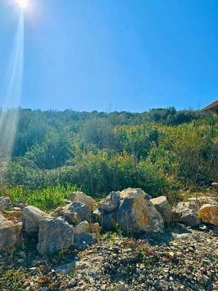 Luštica'da deniz manzaralı büyük arsa