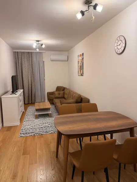 Оренда, однокімнатна квартира, 47м², Central Point, Подгориця