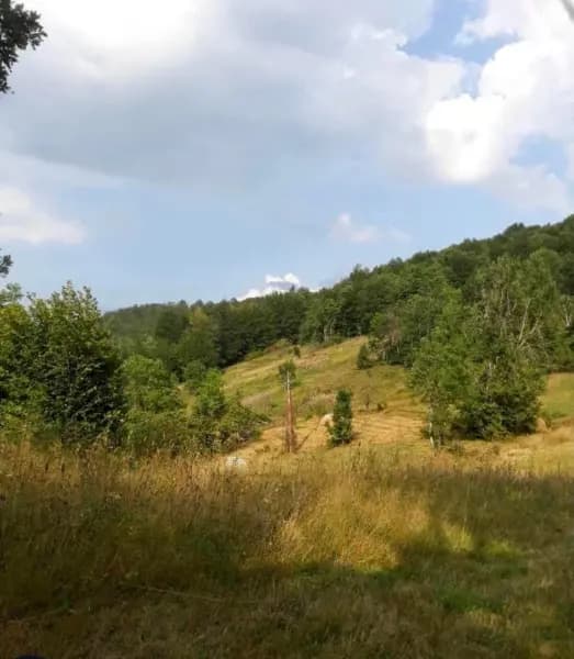 Satılık, arsa, 70000m², Mojkovac