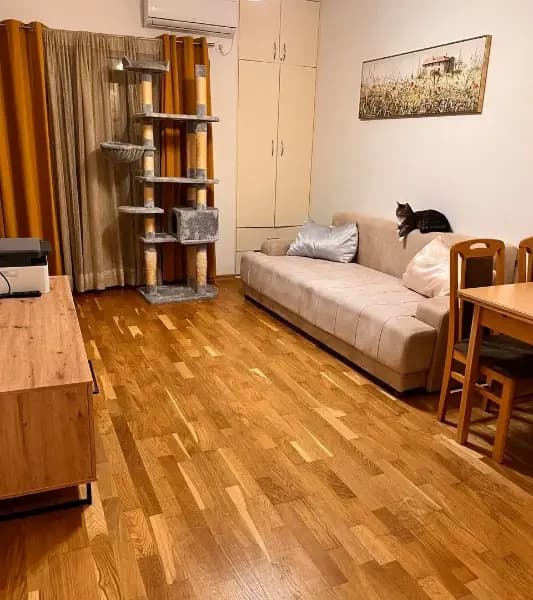 Satılık, tek odalı daire, 40m², Velji Vinogradi, Budva